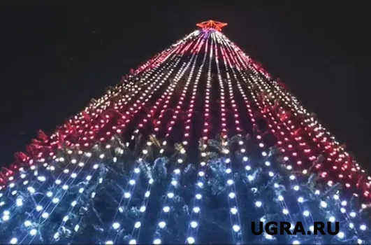В Сургуте зажгли главную городскую ёлку
