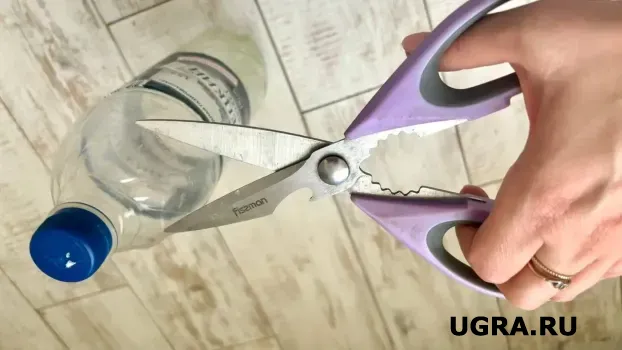 Пластиковые бутылки на грядке клубники творят чудеса: ягоды будете ведрами собирать — гниль и слизни больше не страшны